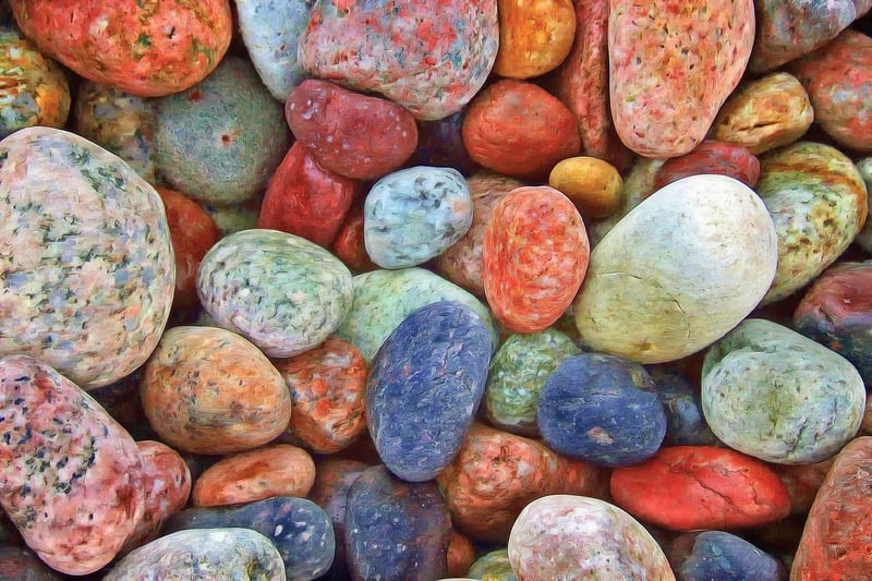 Best Varieties