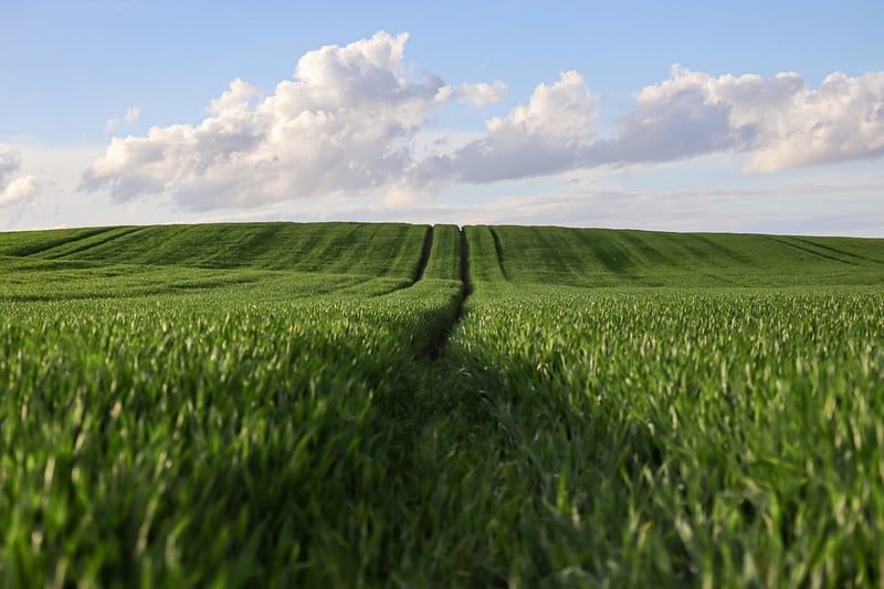 Modern Farming